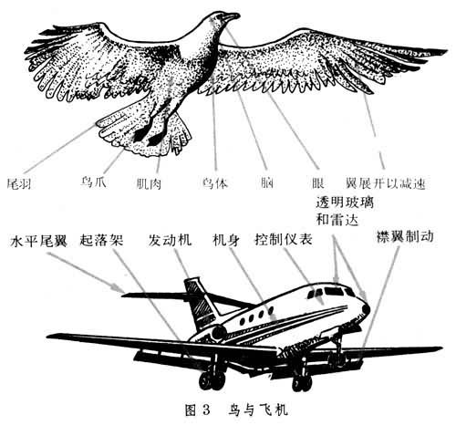 永利最新登录入口